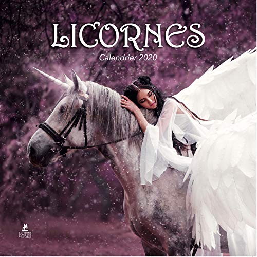 Télécharger Calendrier Licornes 2020 Francais PDF