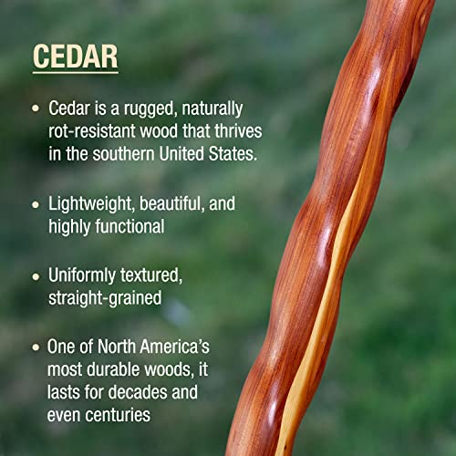 image for Brazos Handcrafted Wood Walking Stick, Twisted Cedar, Backpacker Style