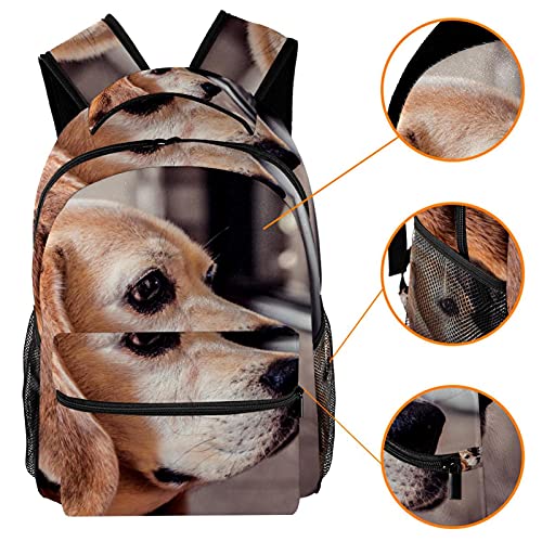 Sac d'école léger et résistant à l'usure collection chiots multicolore