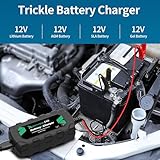 RoyPow LiFePO4 Battery Charger 14.4V 3A Automatic Trickle Battery Charger Maintainer for 12V LiFePO4 Lithium Battery with Alligator Clamp and Ring Terminal - Image 2