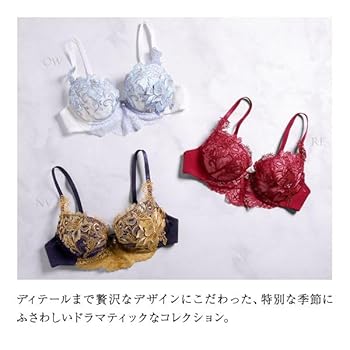 Amazon | [himico] ヒミコ 025シリーズ ブラジャー 大きいサイズ