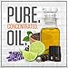 Original Musk & Hustle versions of Armani Code, Green Irish Tweed, Gucci Guilty, Acqua Di Gio Profumo, Eros Flame, Invictus & More, Pure Concentrated Oil Cologne