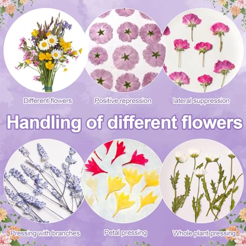 Suziko Großes Blumenpressen-Set - Blumen- und Pflanzenkonservierungs-Set, Maße 27.5x17.5 cm, Kunst und Handwerk für Erwachsene & Kinder, Blattpresse & Blumenpresse - Tolles Geschenk für Liebhaber