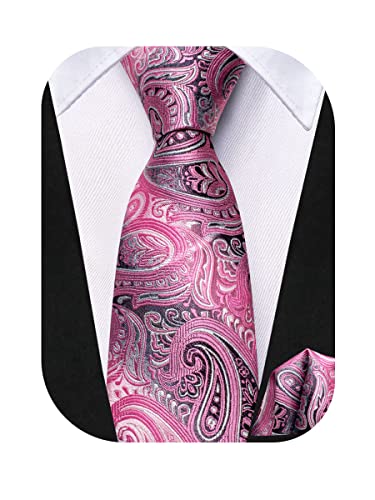 Hi-Tie Kids Paisley Silk Necktie and Pocket Square Set #TOP5