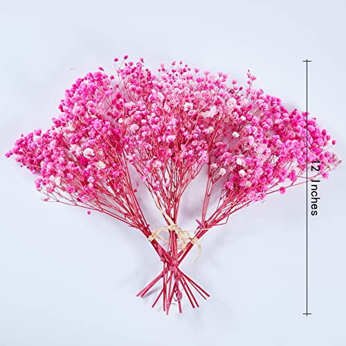 Birtlynn Preserved Baby's Breath 3 Bunches, 100% Natrual Fresh Gypsophila Long Lasting Flowers For Vase Arrangements Home Decoration Photo Props Parties And Weddings, Diy Décor-Pink #TOP2