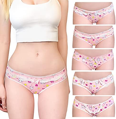 Littleforbig Women's Ladies Soft Cotton Underwear Comfortable Hipster Briefs 5 Pack Panties Set - Usagi Pattern 4XL Pink