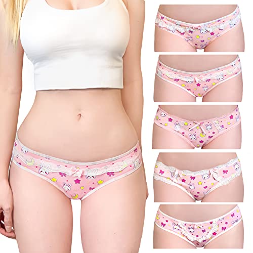 Littleforbig Women's Ladies Soft Cotton Underwear Comfortable Hipster Briefs 5 Pack Panties Set - Usagi Pattern
