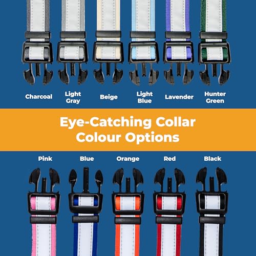 Image of GoTags Reflective Personalized Dog Collar, Custom Engraved with Pet Name and Phone Number, Adjustable Dog Collar with Quick Release Buckle, 3 Sizes for Puppy and Dogs, Small, Medium and Large