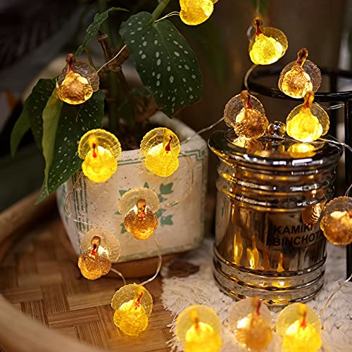 Decorative Fairy Mini Turkey String Lights Autumn Garland Cute Novelty Fall Lights 20 Leds 8Ft Usb Or Battery Operated For Thanksgiving Centerpiece Decoration Bedroom Wedding Birthday Harvest Decor #TOP2