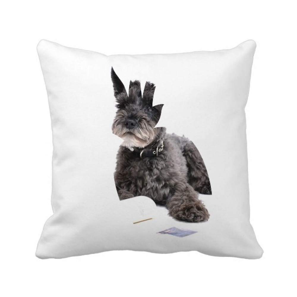 Housse de coussin chien et ananas, le cadeau idéal pour passionné de photo