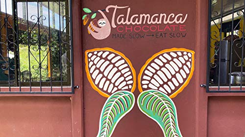 The scrumptious art of bean-to-bar chocolate making in Costa Rica