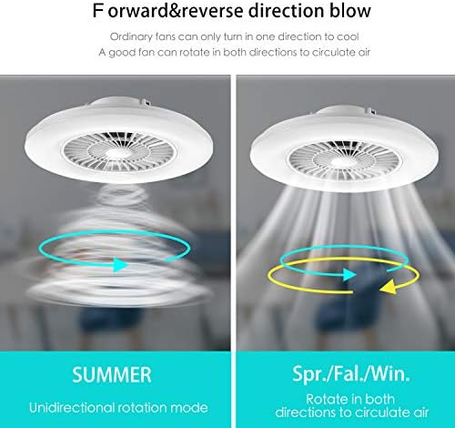 BKZO Smart LED Ceiling Light with Fan, Ceiling Fan Lights 24 Levels Wind Speeds, Stepless Dimming Light, 60CM Modern Fan Lighting for Living Room, Dining Room, Bedroom, Office, 3000-5500K