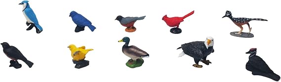 ancona American Birds, English Monolingual, Montessori Preschool Memory Matching Game Box Set with Animal Figurines & 3-Part Cards, Early Education Toy