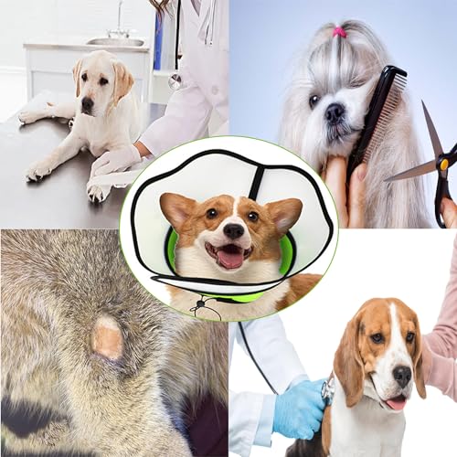 YUEMING Halskrause Hund Leckschutz, Weich Schutzhalsband Verstellbar Genesungshalsband, Elisabethanischer Halskrause für Haustier Nach Operationen Wunden Vorbeugung von Biss Leckwunden