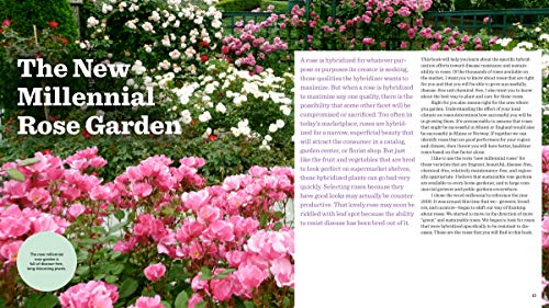 Roses Without Chemicals: 150 Disease-Free Varieties That Will Change The Way You Grow Roses #TOP5