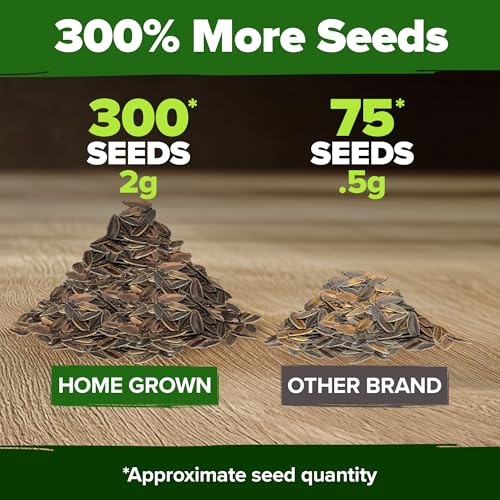 Image of HOME GROWN Will Rogers Zinnia Seeds - 300 Zinnia Flower Seeds for Planting Outdoors - Tall Zinnia Elegans Cut Flowers - Heirloom Non-GMO Zinnia Seeds for 2026 (Zinnia Elegans)