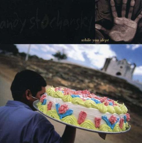 While You Slept [Audio CD] Stochansky, Andy