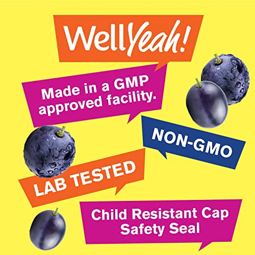 Wellyeah Iron Gummies Vitamin C + Iron Gummies Kids Vitamin C Gummies Bundle - Anemia And Cellular Energy Support, Promotes Red Blood Cell Formation Vegetarian Iron Supplement, Energy & Immune Support #TOP4