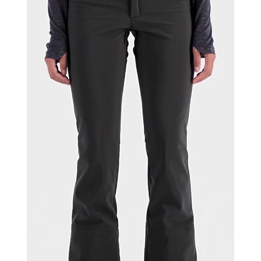 THE NORTH FACE Women's Apex STH Snow Pant Telfon Sound Amazon