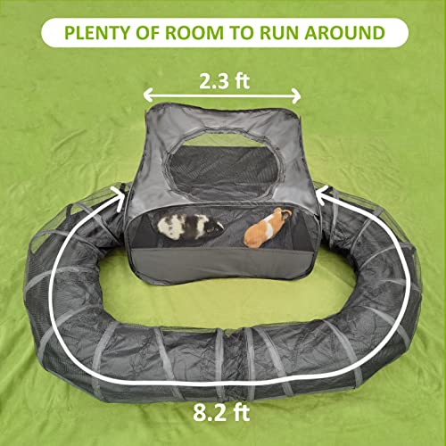 Guinea Pigs Playpen with Surround Tunnel,Pop Open Tent with Tube for Dwarf Rabbits,Chinchilla,Ferret and Other Small Animals to Run and Exercise Indoor or Outdoor (Playpen with Tunnel) by DOZZOPET - Image 4