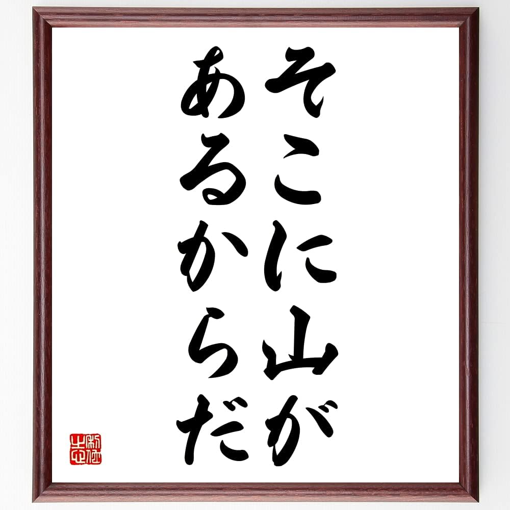サミュエル メーカー公式 ジョンソンの名言書道色紙 そこに山があるからだ 受注後直筆 Z3291 額付き サミュエル メーカー公式 ジョンソンの名言書道色紙 そこに山があるからだ 受注後直筆 Z3291 額付き
