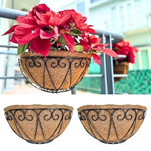 LaLaGreen Wand-Pflanzgefäße 2er Set mit Kokoseinlage