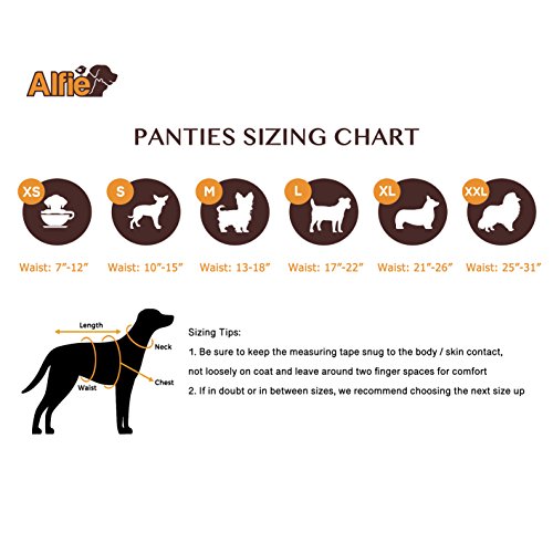 Alfie Pet - Charlotte Diaper Dog Sanitary Pantie With Suspender 2-Piece Set For Girl Dogs - Color: Blue Red, Size: Small #TOP4