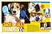 National Geographic Kids 125 True Stories of Amazing Pets: Inspiring Tales of Animal Friendship & Four-Legged Heroes, Plus Crazy Animal Antics