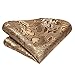 Hi-Tie Silk Paisley Ties for Men Necktie Pocket Square Cufflinks Set Foral Tie Sets Formal Business,Khaki