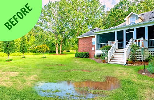 Nature’s Lawn & Garden – Aerify! – Natural Liquid Soil Aerator & Soil Conditioner For Lawn, Garden, House Plants – No Mess – Penetrates Up To Twice As Deep As Mechanical Aeration – Non-Toxic, Pet-Safe - 1 Qt #TOP1