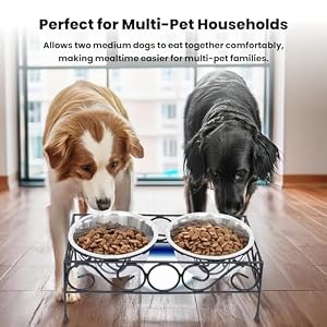 Iconicpet Elevated Wired Pet Double Diner with Stainless Steel Bowls for Dogs and Cats, Durable, Dishwasher Safe Bowls - Medium, 32 Oz Iconicpet Elevated Wired Pet Double Diner with Stainless Steel Bowls for Dogs and Cats, Durable, Dishwasher Safe Bowls – Medium, 32 Oz