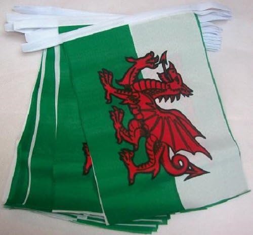 AZ FLAG Wales Bunting Flag, 20 Ft Garland with 20 Small Welsh Flags 8'' x 6'', 100% Polyester String Pennant, 6 meters