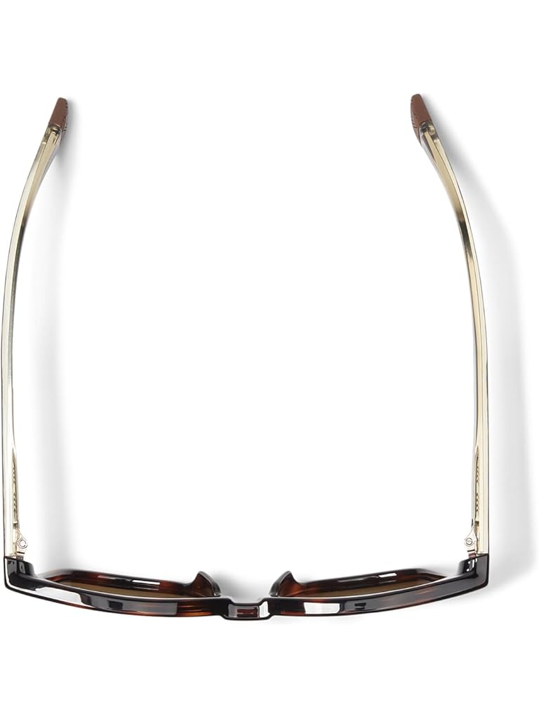 Brown Maui Jim Hanohano