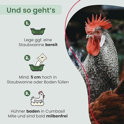 Cumbasil Mite Staubbad für Hühner 25kg, Sandbad Pulver gegen Milben, Milbenmittel Hühner, natürlicher Milbenschutz, Puder