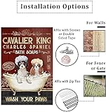 Zoom IMG-2 metal signs cavalier king charles