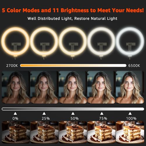 FZYGRAVH 10" LED Ring Light with Overhead Phone Stand, CRI≥95 1200lm Dimmable Lighting, Adjustable Metal Arm with Remote & Phone Holder, for Streaming, Makeup, Zoom Calls, Photography — view 2