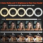 10" LED Ring Light with Overhead Phone Stand, CRI≥95 1200lm Dimmable Lighting, Adjustable Metal Arm with Remote & Phone Holder, for Streaming, Makeup, Zoom Calls, Photography - Image 2