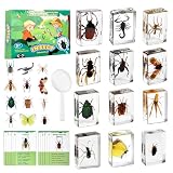 Artojoy 12 PCS Insect Specimen, Real Bugs in Resin for Science Classroom