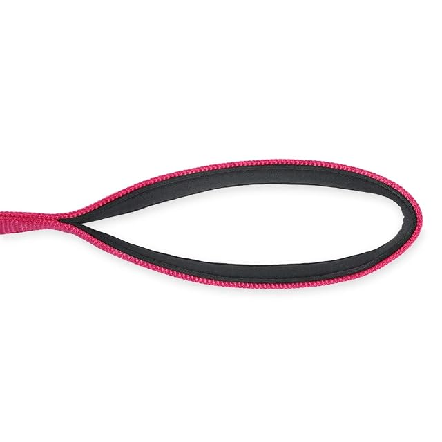 Foto 5 de 8 de Correa Corta de Nylon Resistente de 45,7 cm de Largo con asa Acolchada cómoda y Clip Resistente para Perros…