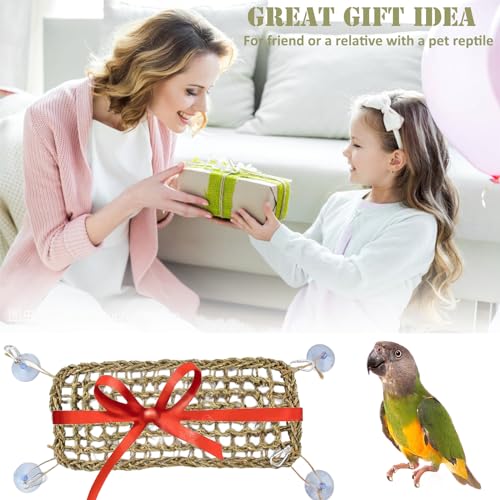 Image of Bird Seagrass Mat Bearded Dragon Hammock Reptile Bridge Hermit Crab Climbing Wall Lizard Lounger Natural Seagrass Woven Net Rat Cage Accessories Hamster Ladder 15.7 inchx 6.7 inch