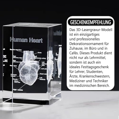 Anatomisches Kristallmodell-Set – Präzisionsgeätzte 3D-Darstellung von Herz, für Medizin & Design