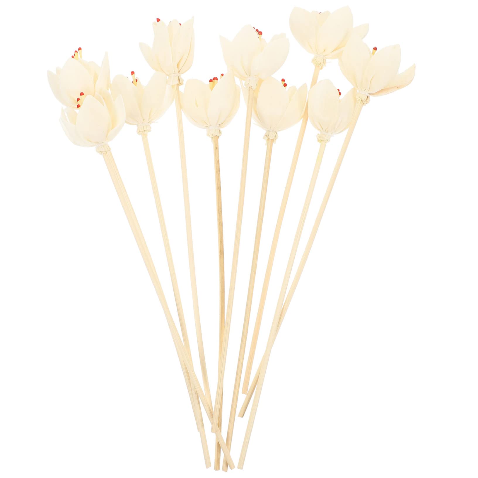 PRETYZOOM 30 Pz Rattan per aromaterapia canne essiccato vaso Olio essenziale profumatore ufficio profumatore bagno bastoncini diffusori di fiori bastoncini aromatici per matrimoni di legno