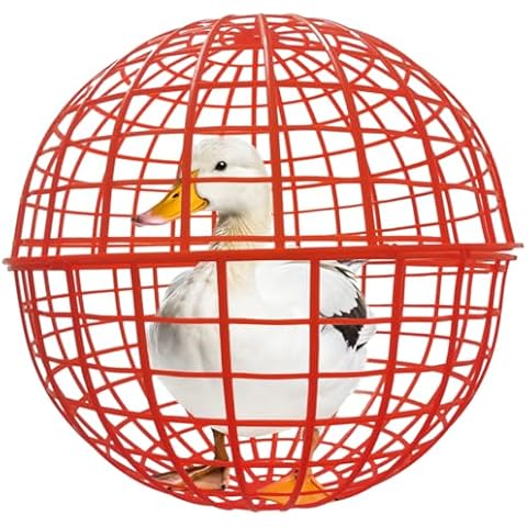 CalorMixs 19.6" Pet Removable Safety Cage Chicken Coop Ball Cage Rolling Enclosure Outdoor Farms Courtyard Plastic Hutch Secure Walking Net Rabbits Chicks Ducks Prevents Dog Bites 2-Pack Cover