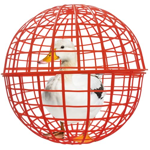 CalorMixs 19.6' Pet Removable Safety Cage Chicken Coop...