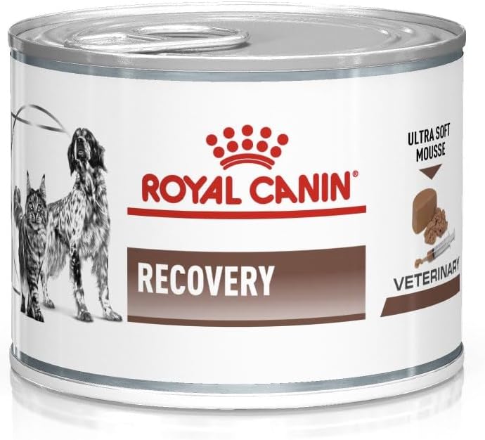 Veterinary Diet Recovery Dog/Cat Food