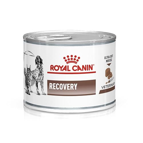 Royal Canin Veterinary Recovery