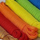 10 Farben Paracord Armband Schnüre Fallschirmschnur Survival 7 Strängen Nylon Seil 550 DIY Handgemachte Webart für Armband, Schlüsselanhänger, Anhänger, Hundeleinen, Zeltseil, Paracord Accessoires