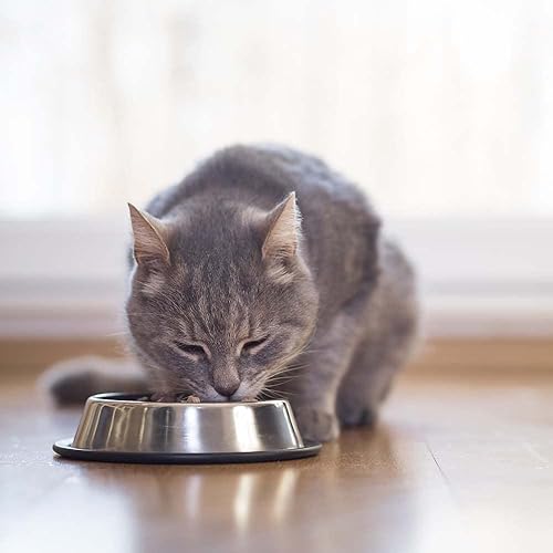 Miniatura 9 de Bixbi Rawbble - Alimento para gatos con paté sin granos de 3 sabores, (2) cada uno pollo, carne de res, atún (2.75 onzas) - Paquete de folleto de