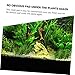 POPETPOP Bendable Moss Net Sturdy Aquarium Mesh Pad for Fish Tank Decor and Maintenance