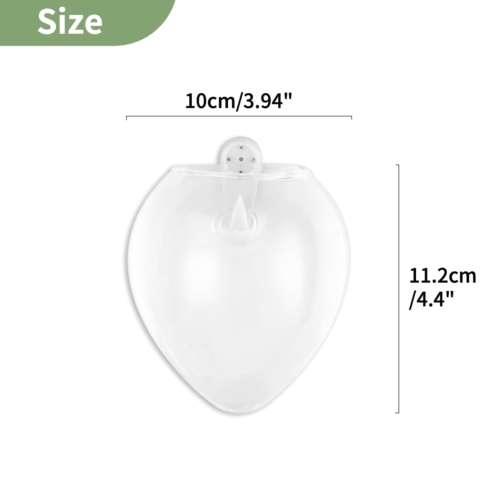 NUPTIO Glas Wandvase Modernes für Pflanzen: Wandbehang Glasvase 4er-Set